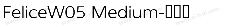 FeliceW05 Medium字体转换